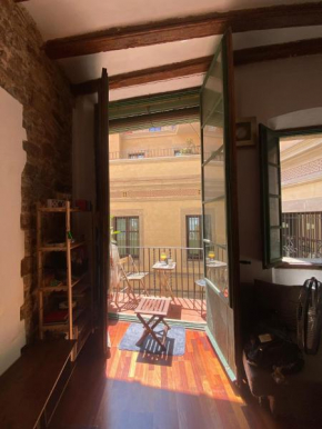 Well located apartment city center
